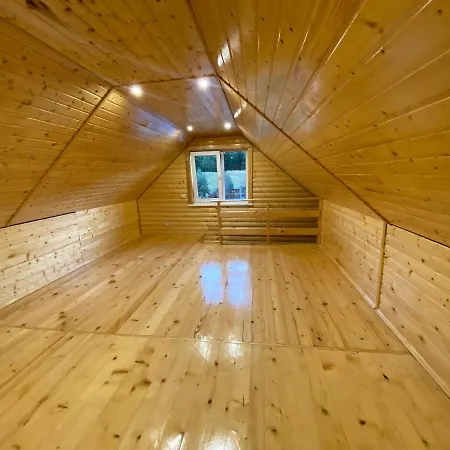 вікторія Bubnyshche