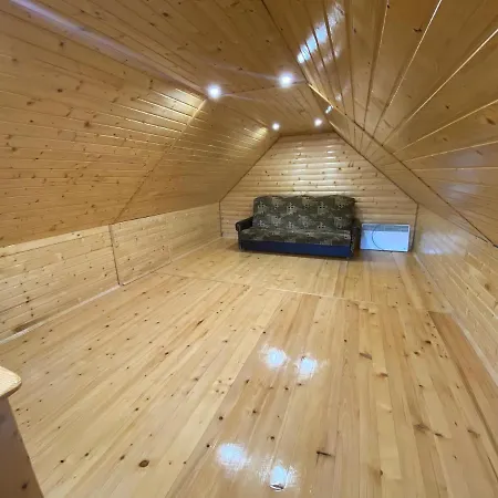 вікторія Bubnyshche