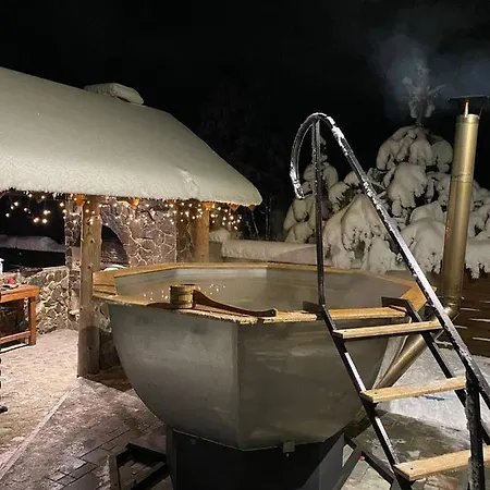 вікторія Bubnyshche