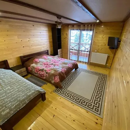 вікторія Bubnyshche