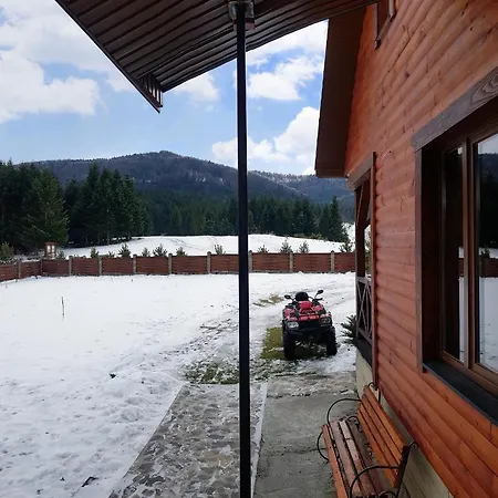 вікторія Bubnyshche