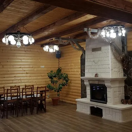 вікторія Bubnyshche