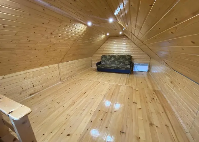 вікторія Bubnyshche