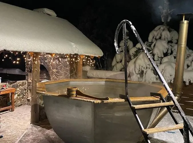 вікторія Bubnyshche